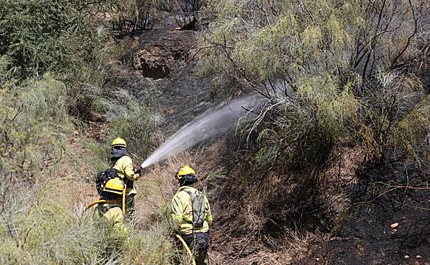 Bomberos del Infoca trabajan en la extinción del incendio en Cenes