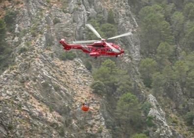 Imagen secundaria 1 - Incendio en Güéjar Sierra.