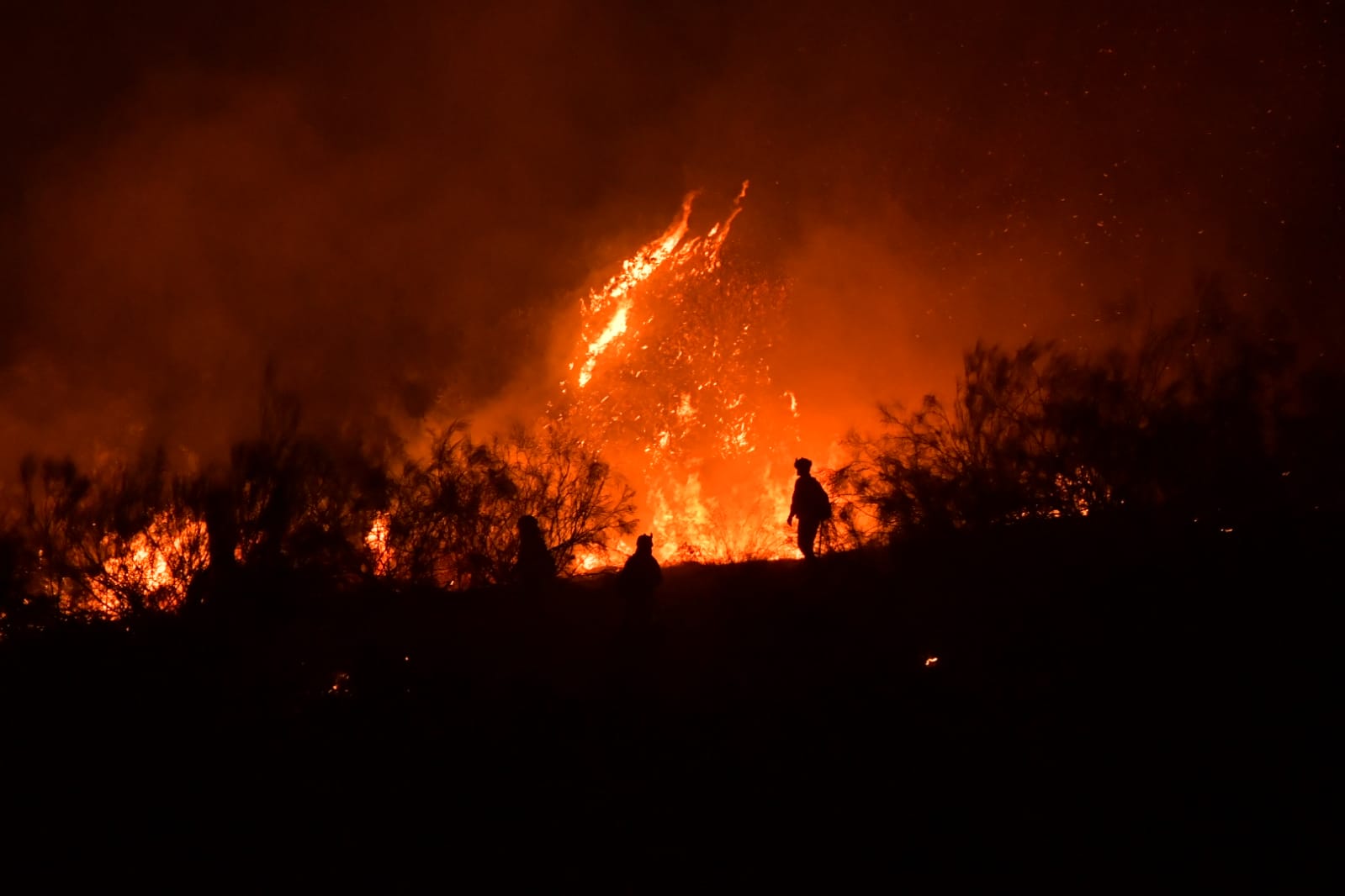 Fotos: El fuego quema el Barranco de San Jerónimo