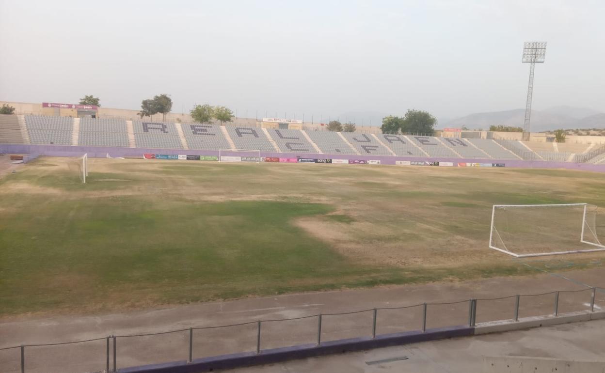 El césped de La Victoria se está secando por la falta de cuidados durante las últimas semanas.