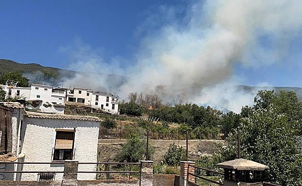 Incendio forestal en Pitres.
