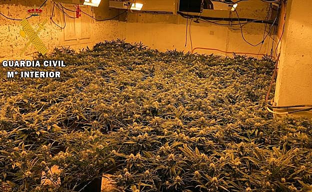 Esta fue la habitación dedicada al cultivo de 'maría' que se encontraron los agentes.