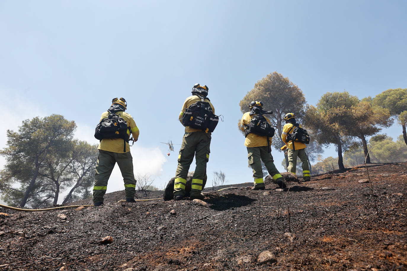 Las imágenes del incendio declarado este sábado en el popular enclave de la ciudad granadina