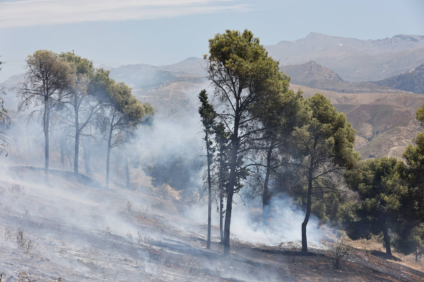 Las imágenes del incendio declarado este sábado en el popular enclave de la ciudad granadina