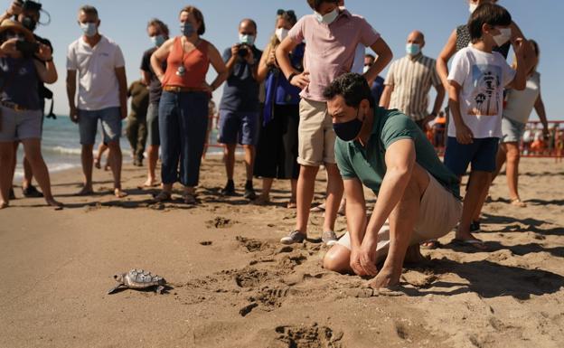 Los cuatro criterios que pide Andalucía a Sanidad par reformular la incidencia