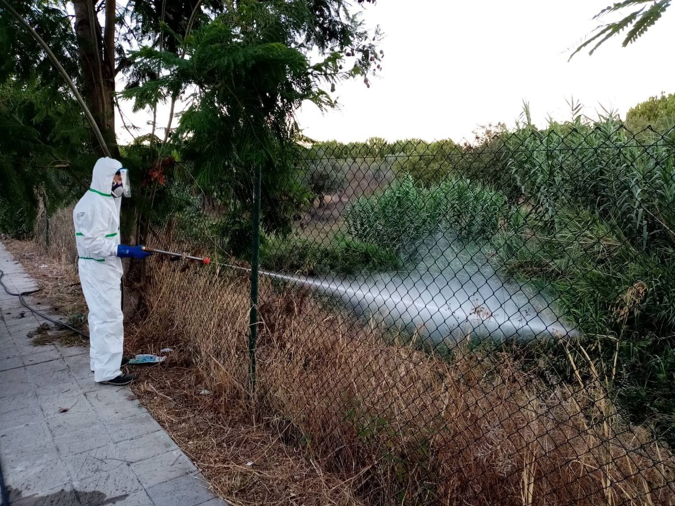 Un operario realiza labores de desinfección contra el mosquito transmisor de la Fiebre del Nilo.