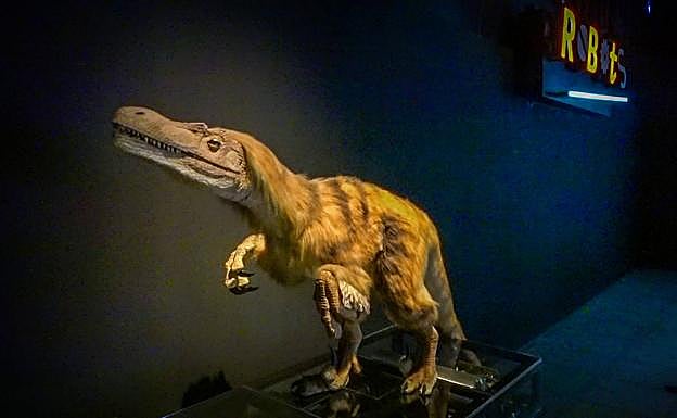 Imagen principal - Detalles de la exposición. 