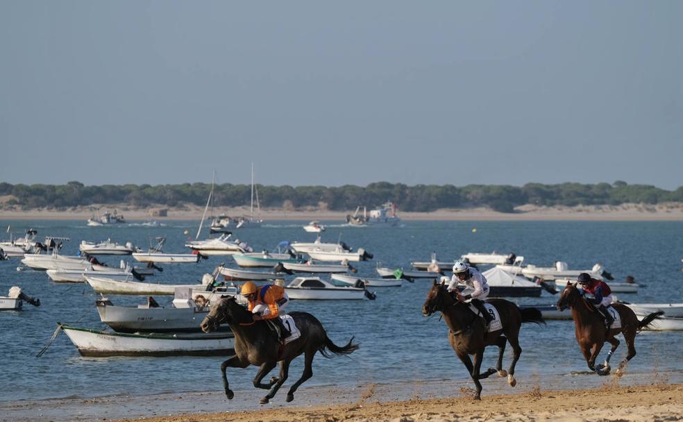 Hipódromo natural. El trazado lleva a los caballos a través de un recorrido de 1.800 metros. El 'turf' es la misma arena de las playas de Sanlúcar. En la imagen, tres yoqueis luchan por entrar primero a meta.