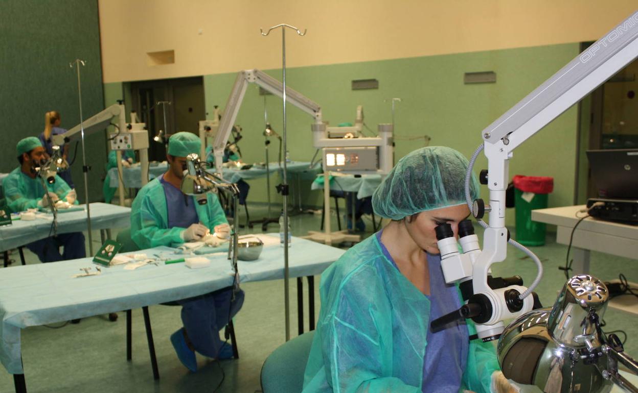 Curso de formación de los MIR, Médicos Interinos Residentes. 