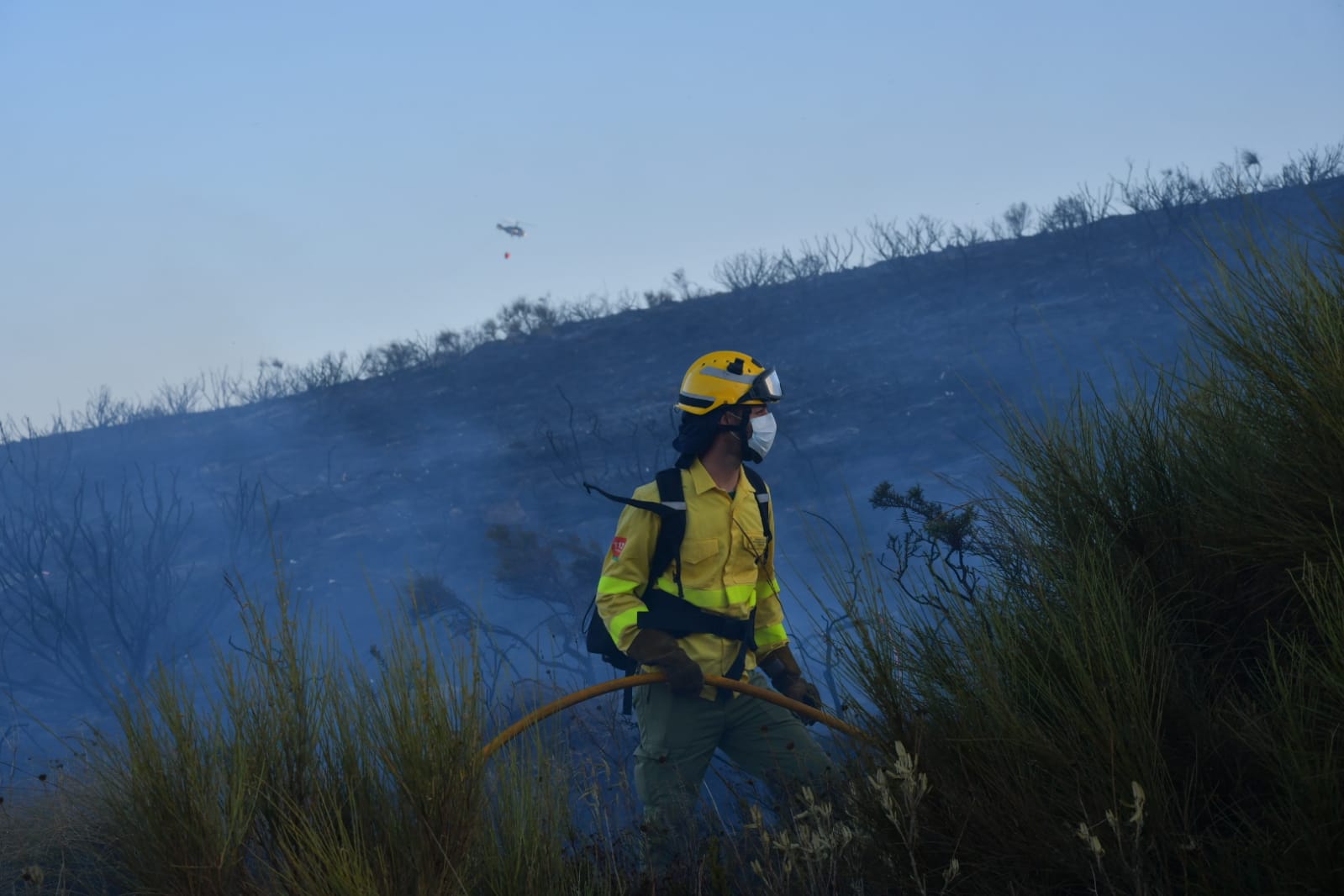 El Infoca ha desplazado a un amplio operativo para la extinción del incendio