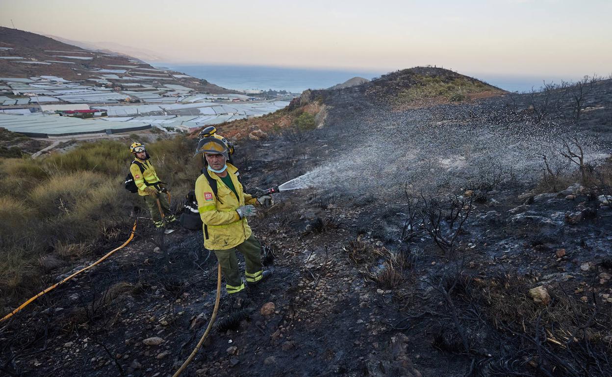 Bomberos forestales trabajan el pasado sábado por la tarde en la extinción del incendio en Gualchos-Castell de Ferro.