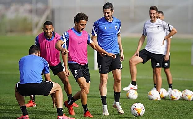 Luis Milla, fuera de la convocatoria por lesión