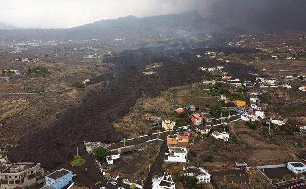 Destrucción total del suelo y de la biodiversidad por la colada