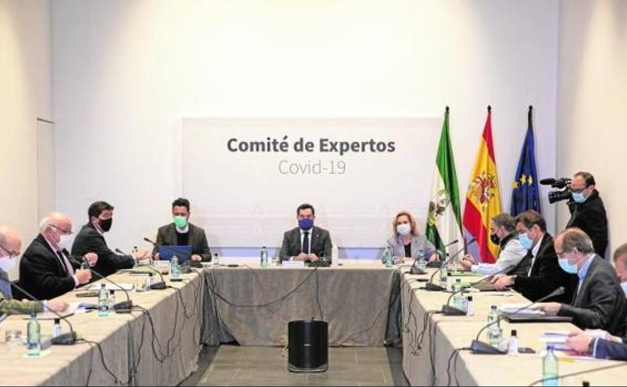 Comité de expertos en Andalucía.