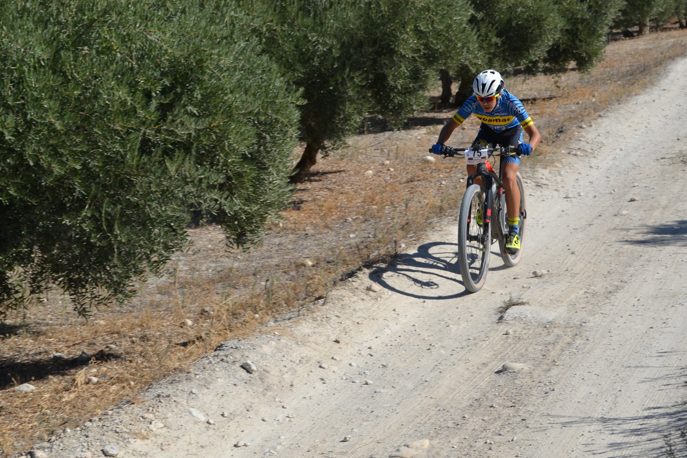 Más de un centenar de ciclistas compiten por las tierras del Parque Natural de la Sierra Almijara, Tejeda y Alhama