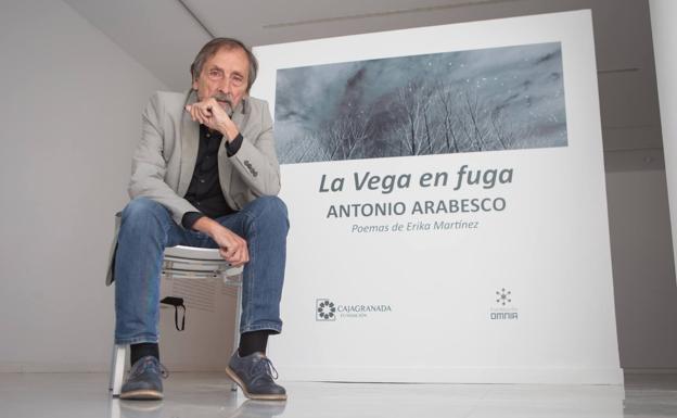 Arabesco, en la sala de CajaGranada donde expone 'La Vega en fuga'. 