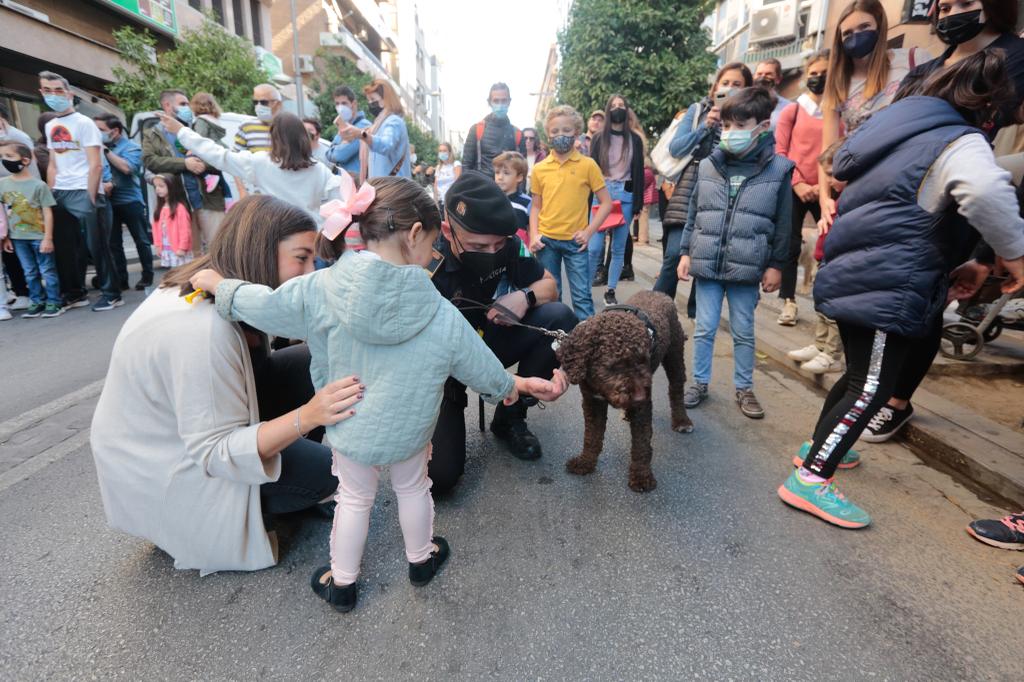 Los granadinos disfrutan de una calle Recogidas inmaculada y con cero emisiones contaminantes.