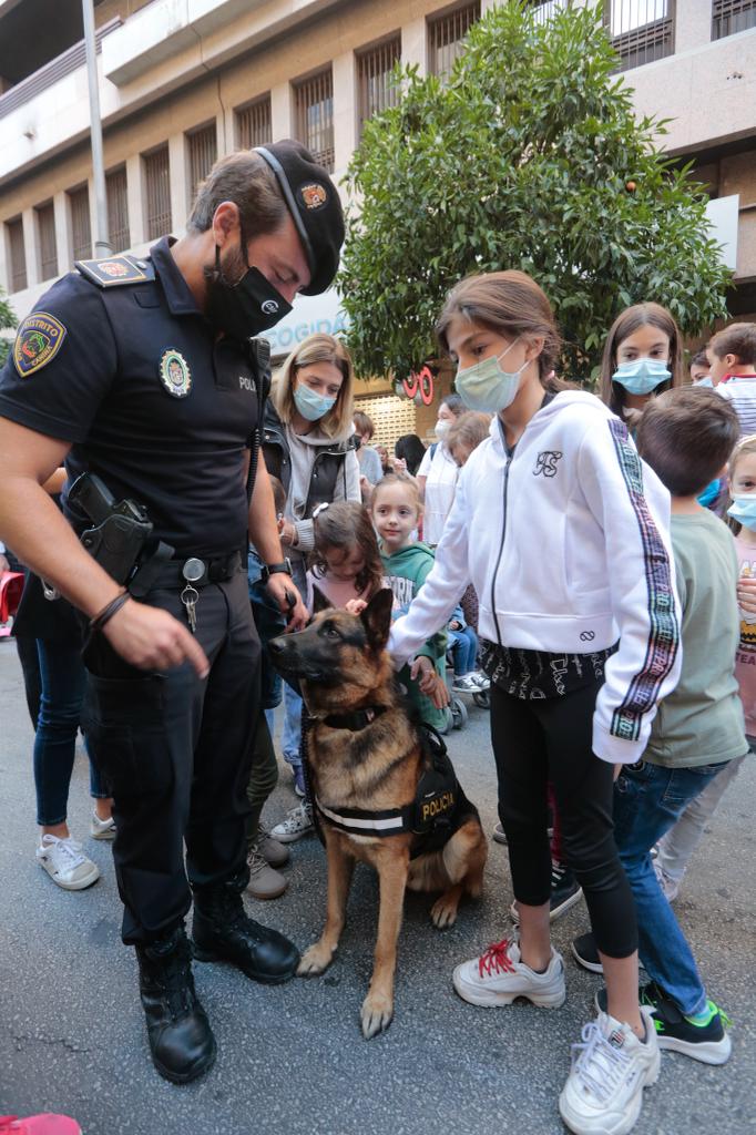 Los granadinos disfrutan de una calle Recogidas inmaculada y con cero emisiones contaminantes.