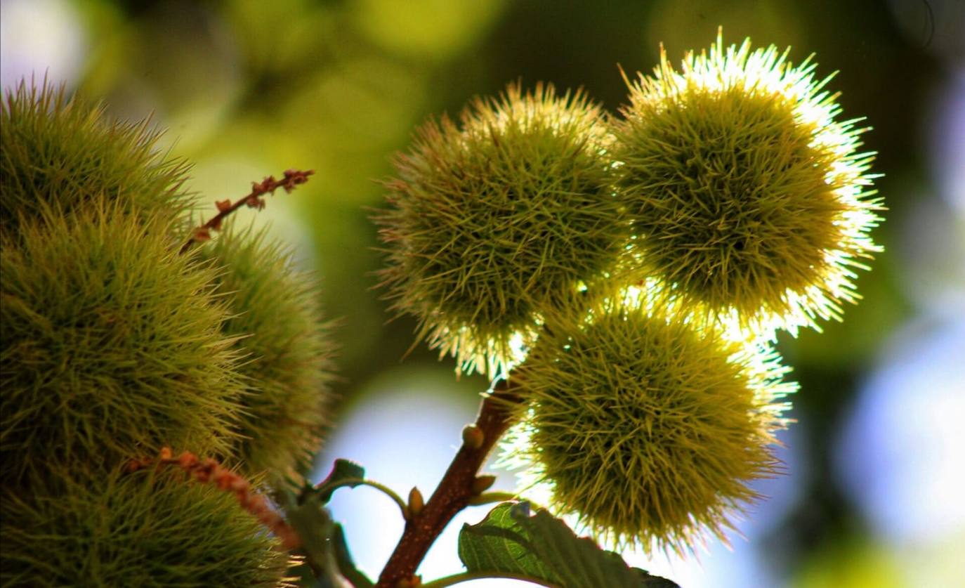Imagen secundaria 2 - Ruta por la desconocida cara norte de Sierra Nevada