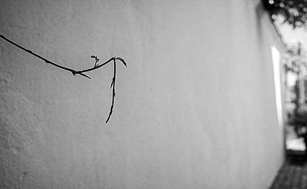 Fotografía de Joaquín Puga. 