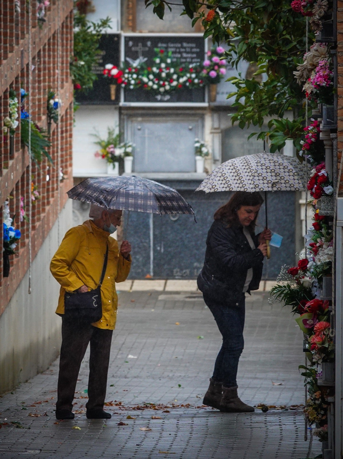 Los granadinos acuden al cementerio con flores en el día de Todos los Santos.