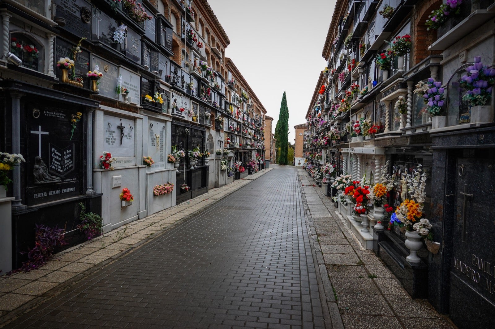 Los granadinos acuden al cementerio con flores en el día de Todos los Santos.
