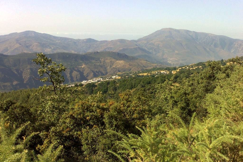 Imagen secundaria 1 - Ruta de Capileira a La Cebadilla con estupendas vistas a Sierra Nevada