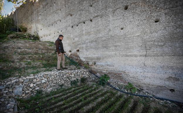 Imagen principal - A los pies de la antigua muralla Zirí se ha creado un huerto con paratas y regadío que socaba los cimientos. El cerro de San Miguel presenta innumerables modificaciones en un entorno que tiene toda las protecciones urbanísticas.