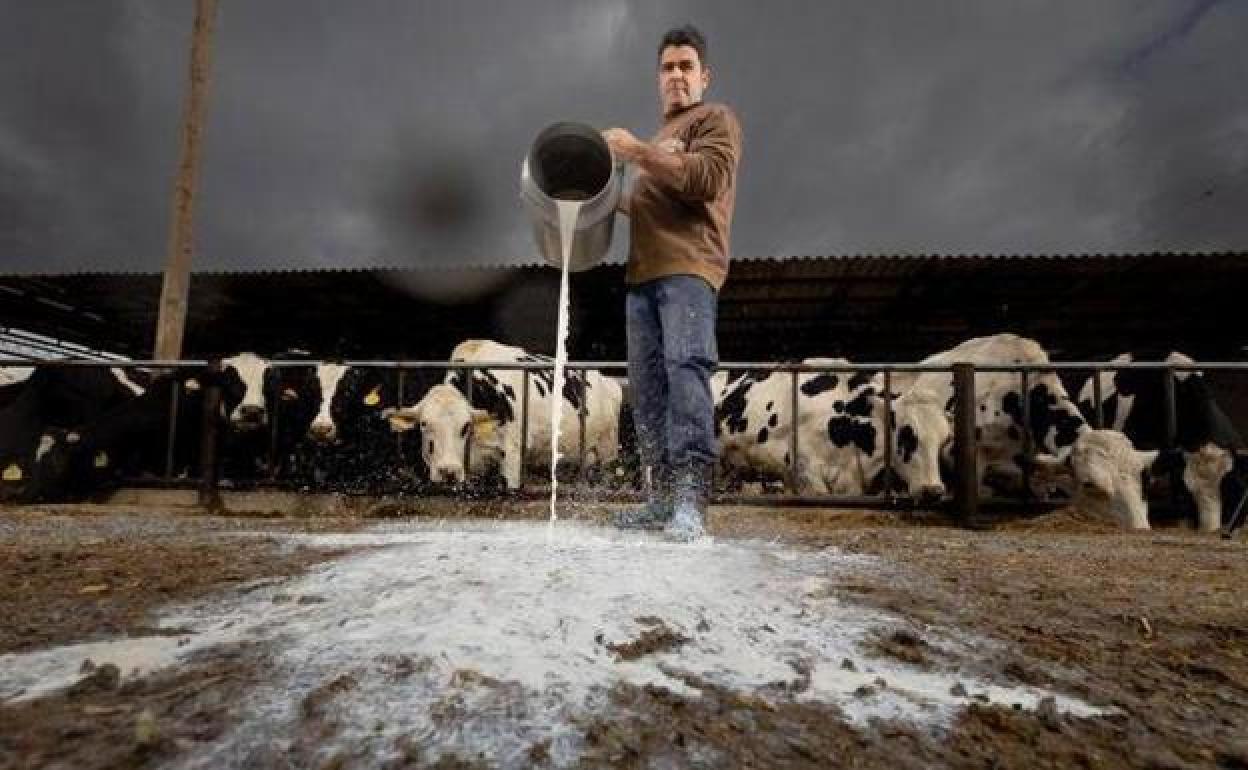 Las 5 noticias destacadas del domingo en Granada que no te puedes perder