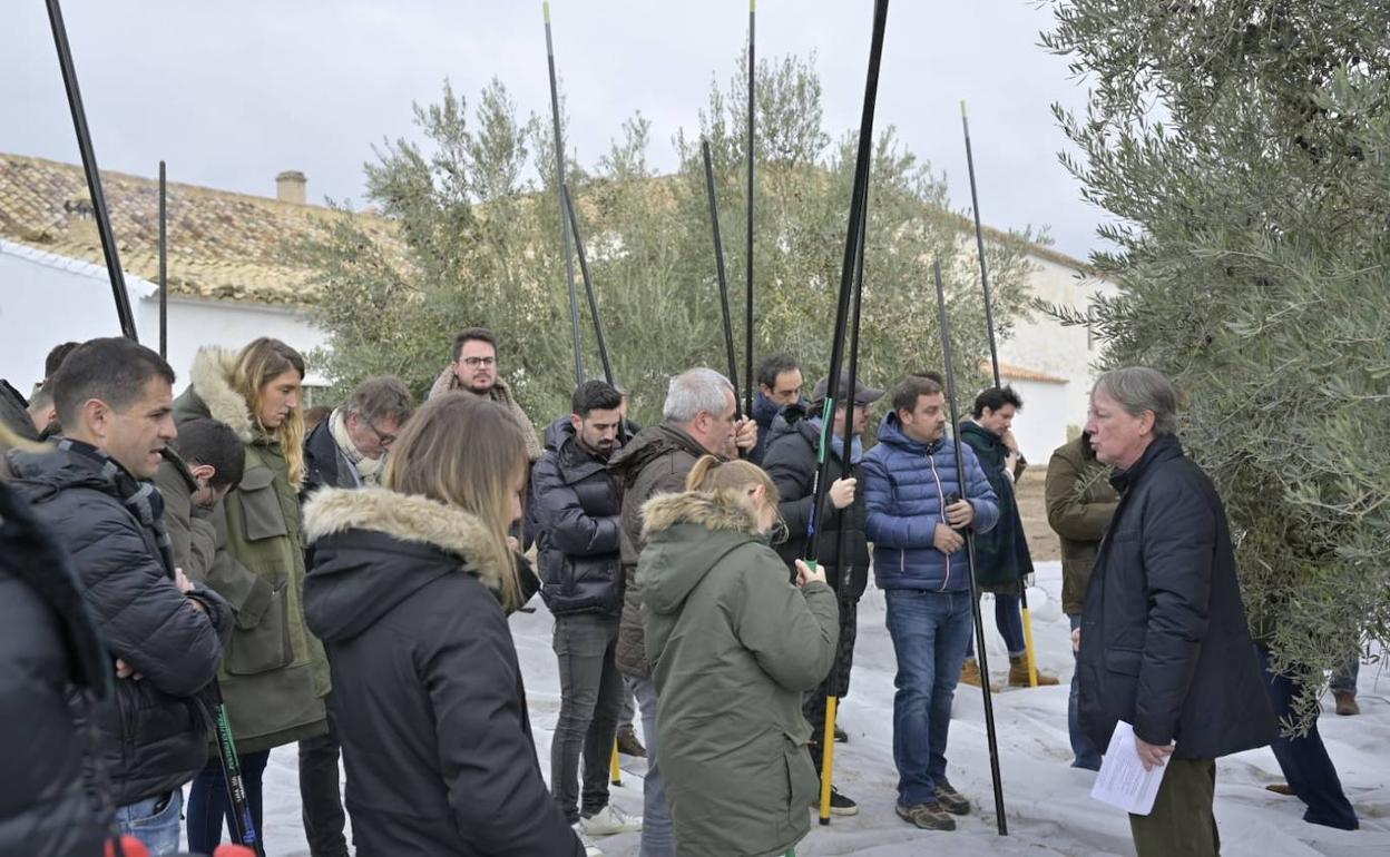 Cocineros y sumilleres atienden las explicaciones antes de ponerse a varear un olivo. 