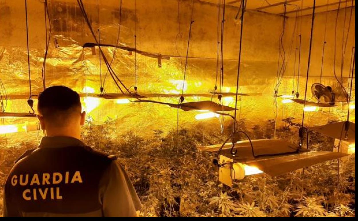 Un agente de la Guardia Civil durante la operación antidroga en Santa Fe.