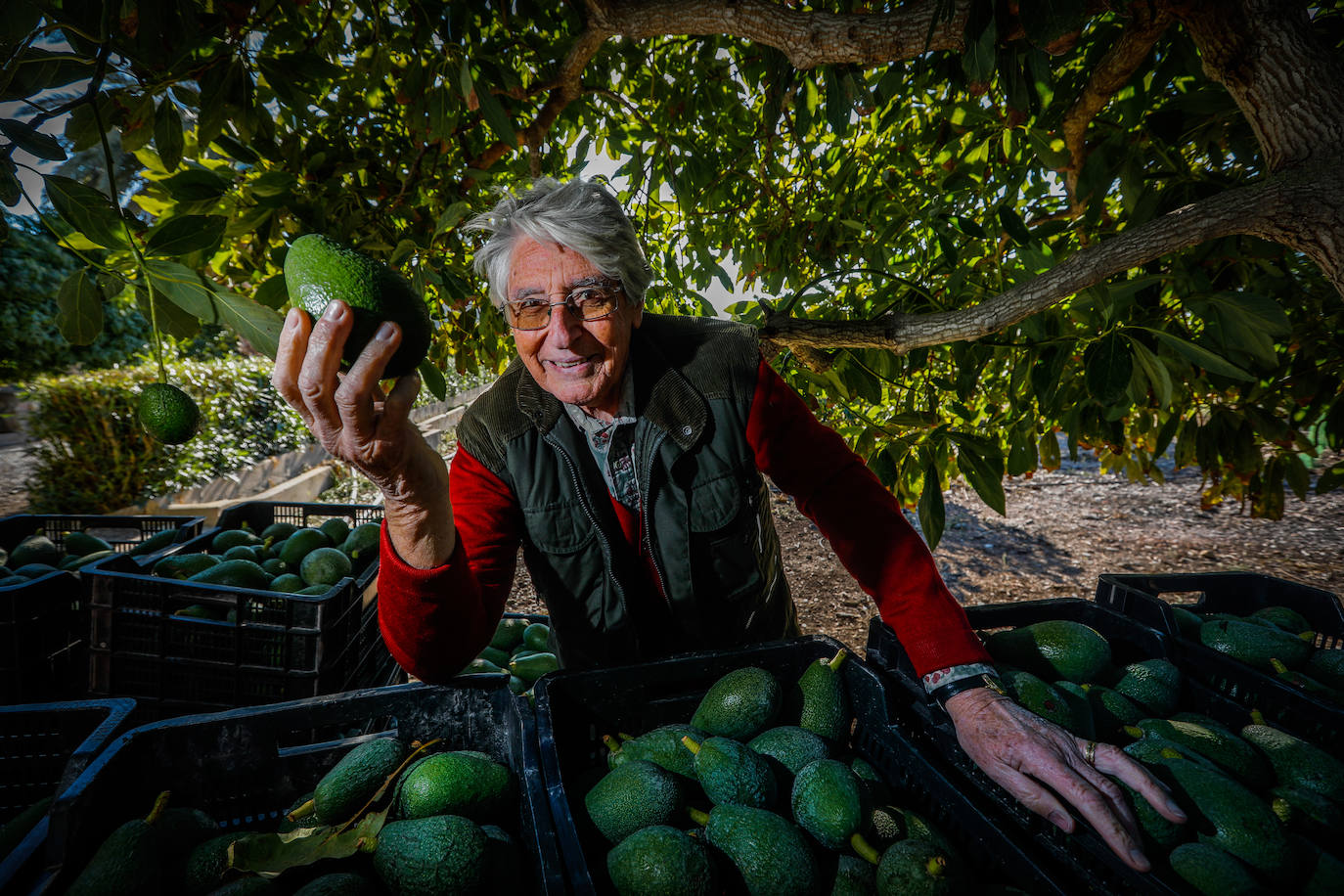 Amestoy, con una de sus 'criaturas' tropicales.