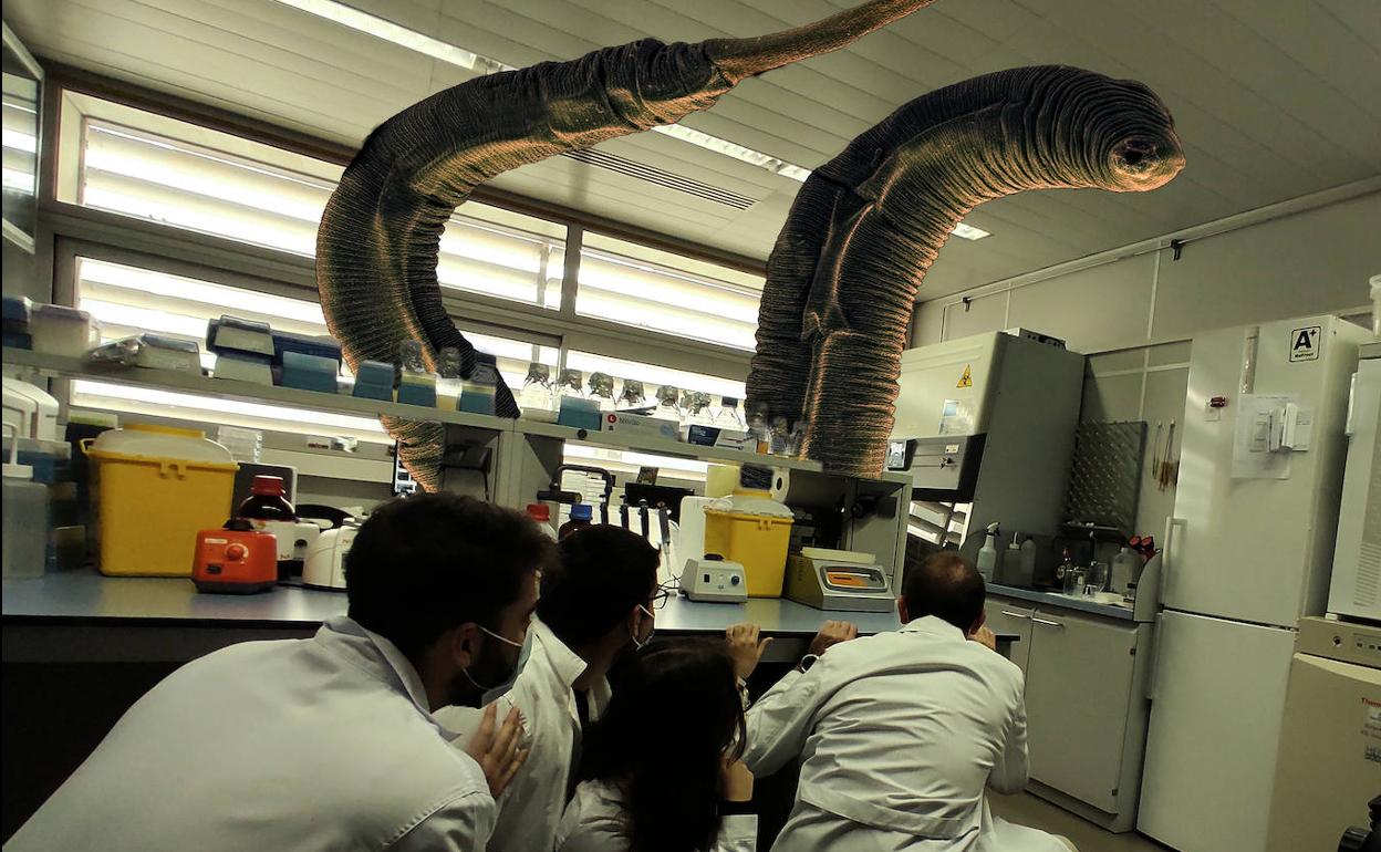 Montaje de los investigadores, con un gusano gigante en el laboratorio.