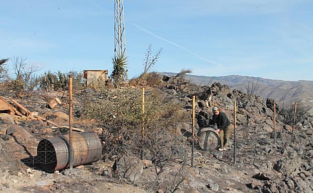 Una vecina limpia los restos calcinados de su parcela.