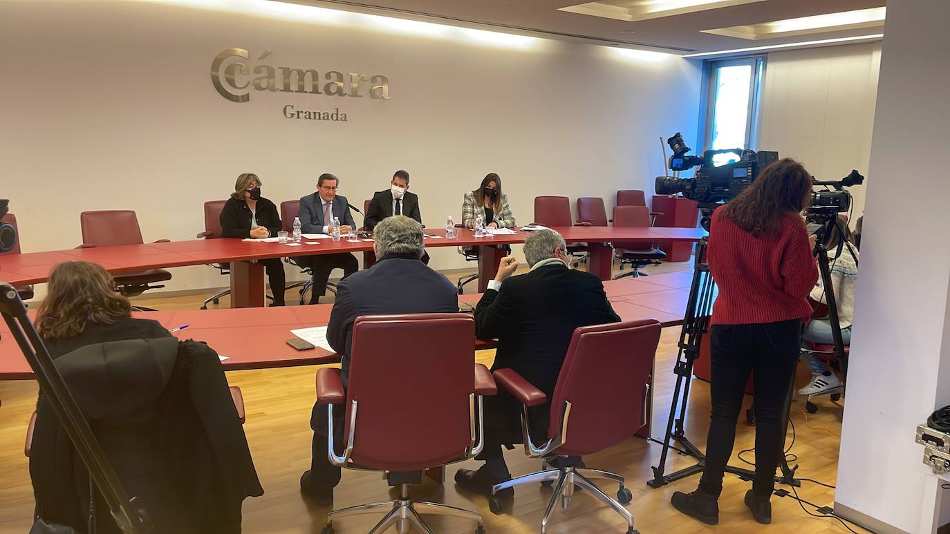 La diputada de Desarrollo Sostenible y Empleo, Ana Muñoz, el presidente de la Diputación provincial José Entrena, el presidente de Cámara Granada, Gerardo Cuerva y la secretaria general secretaria general y responsable del Área de Proyectos de Cámara Granada, Isabel Contreras presentando las ayudas ante los medios. 