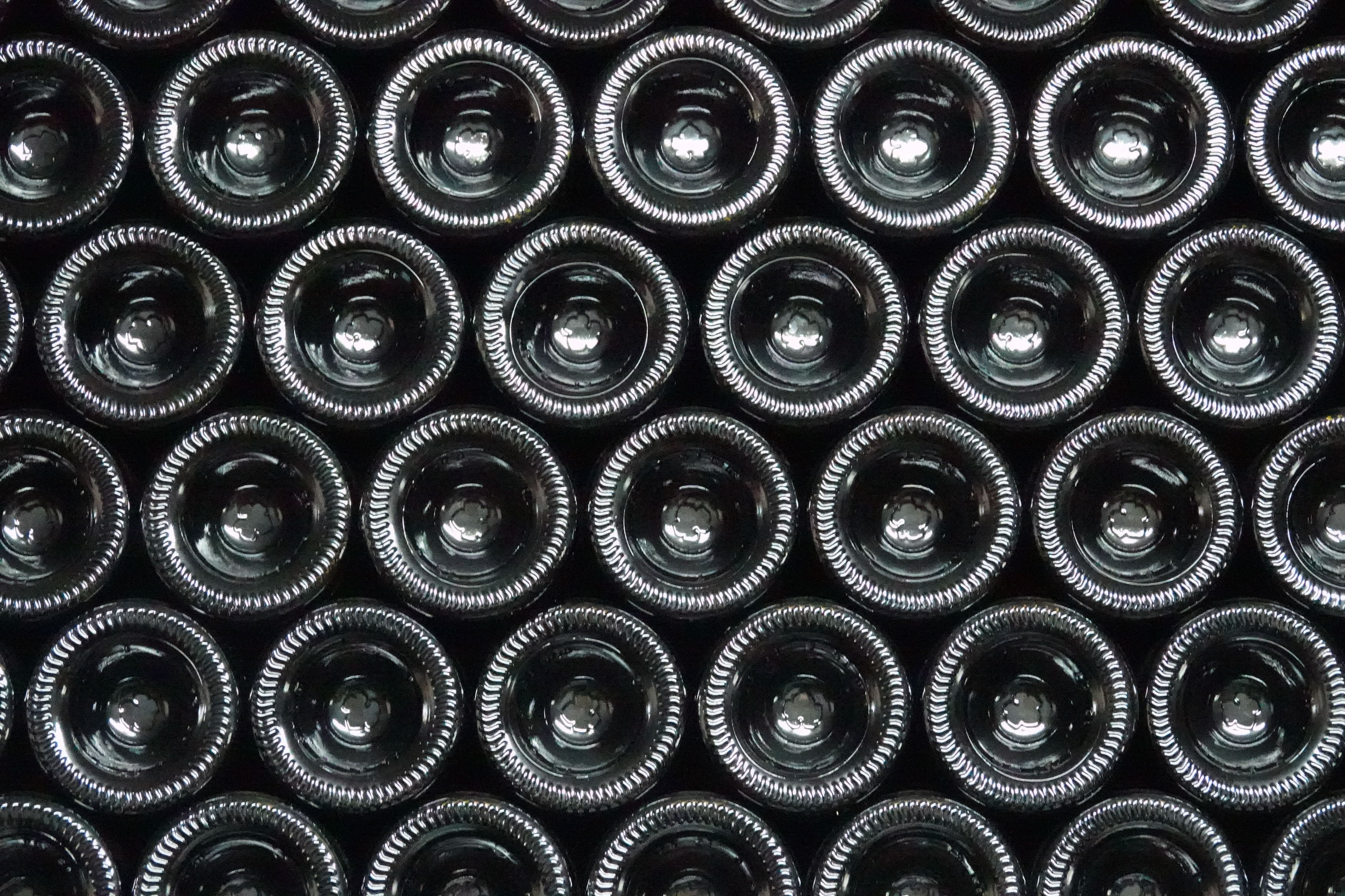 La OCU desvela los mejores vinos de España para esta Navidad