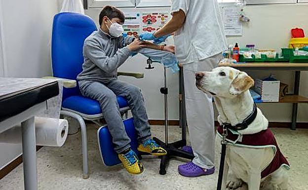 Niebla acompaña a Darío mientras al joven le sacan sangre. 