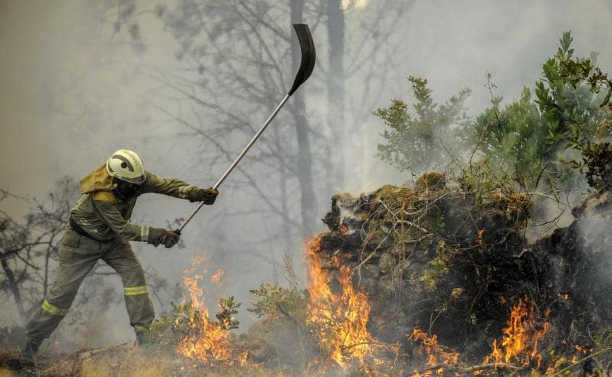 Incendio forestal.