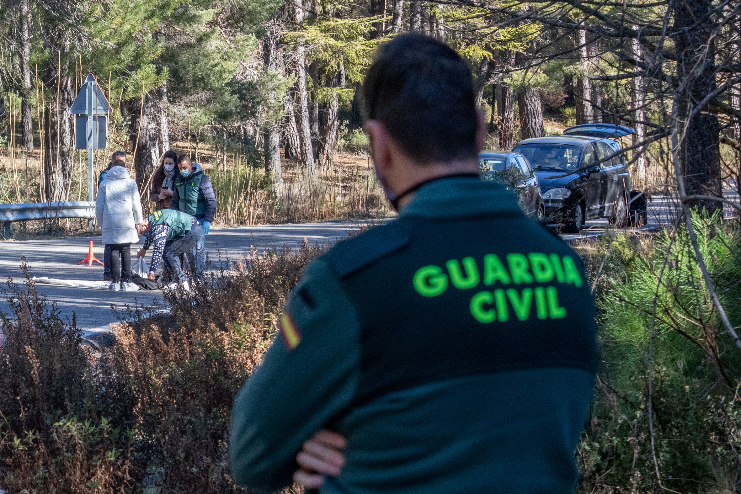 La Guardia Civil rescata tres galgos con síntomas de desnutrición en Torreperogil