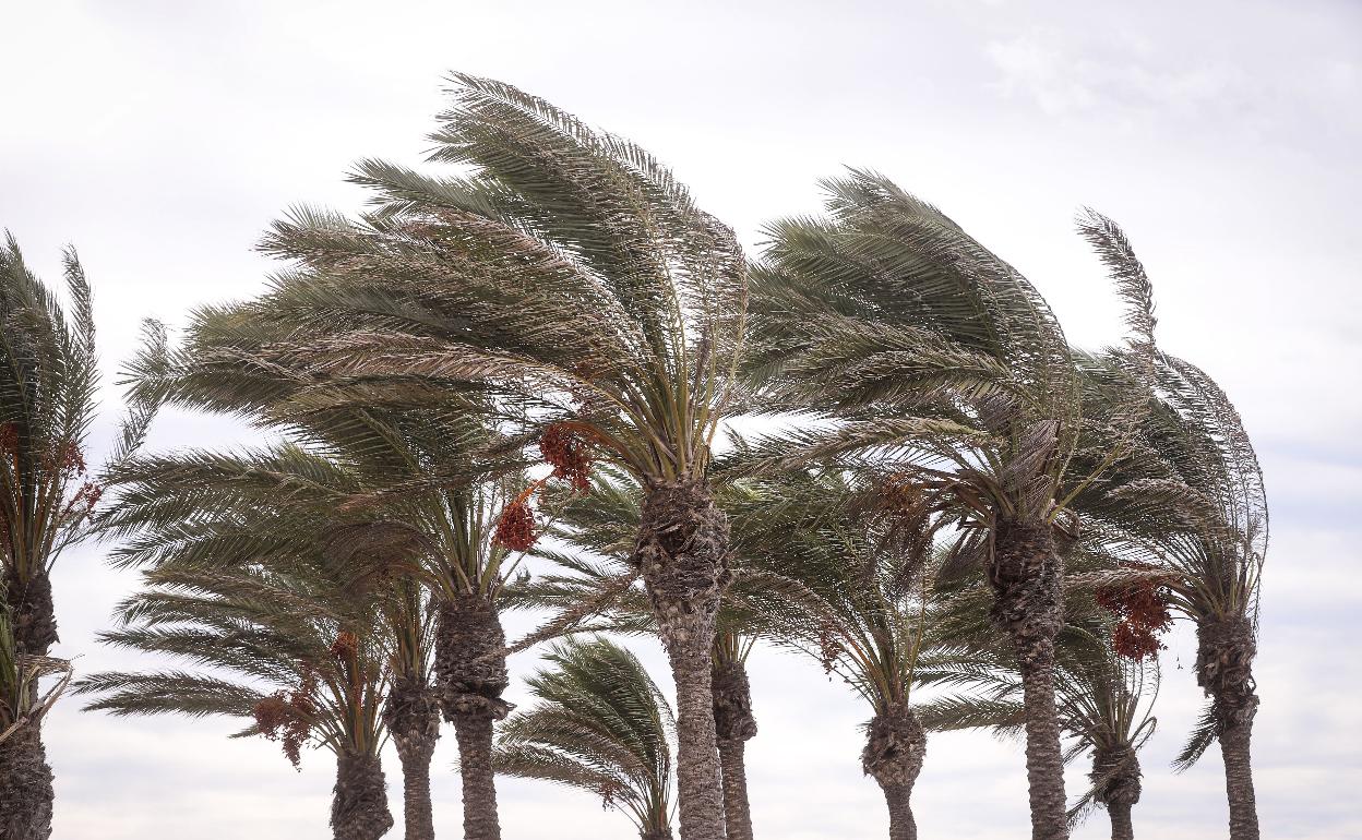 Viento en el litoral andaluz.