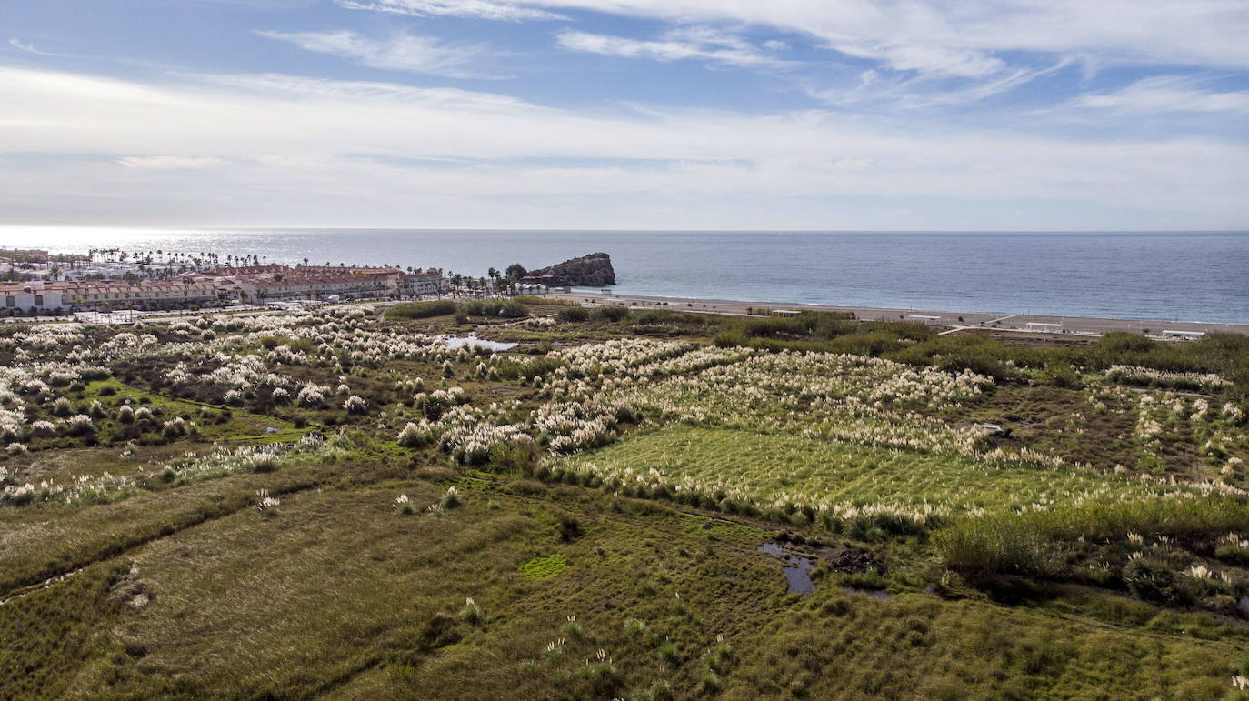 Imagen secundaria 2 - Recreación del hotel de Motril, la parcela donde se ubicará e imagen aérea de los terrenos de Salobreña donde se harán los resors.