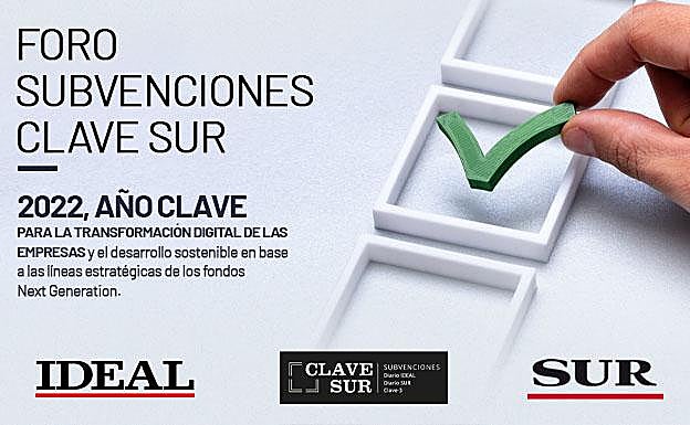 Conferencia de Luis Palomo (red.es) sobre las subvenciones para Pymes