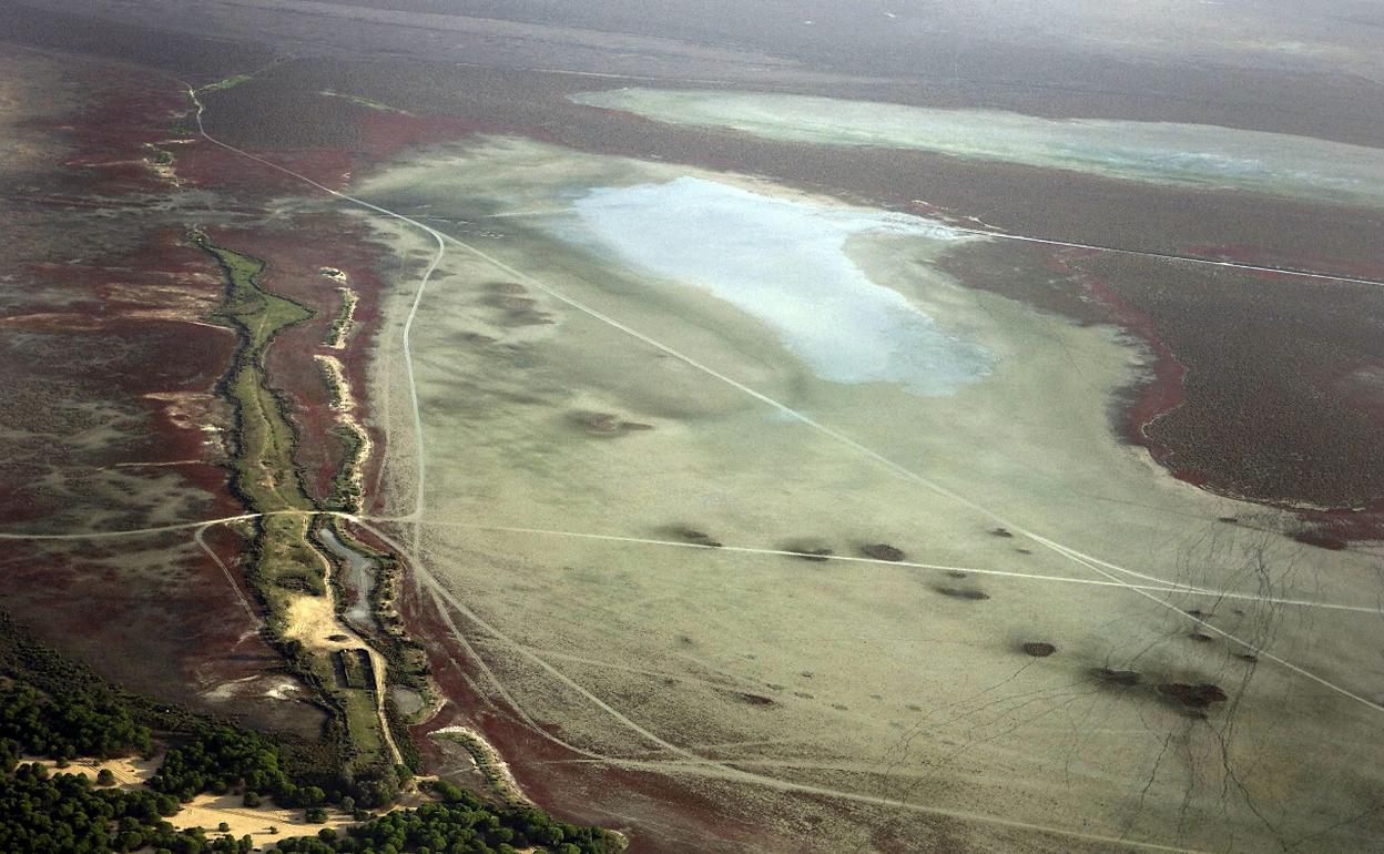 Doñana se seca por los regadíos ilegales.