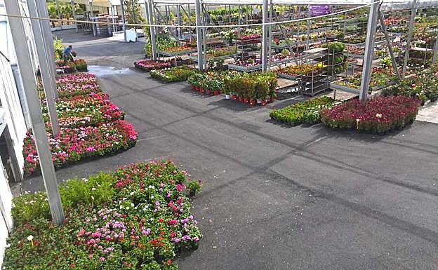 Instalaciones de Viveros Cambil.