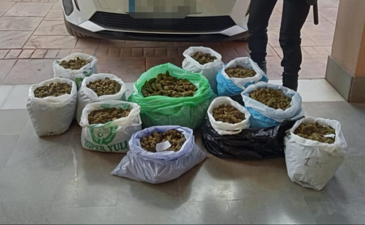 Marihuana incautada.