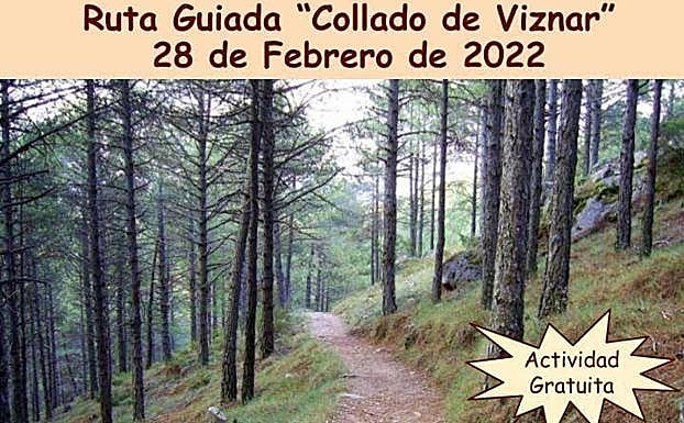 Ruta guiada por el Collado de Viznar 