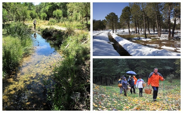 Alrededores de Prado Negro, en Huétor Santillán.