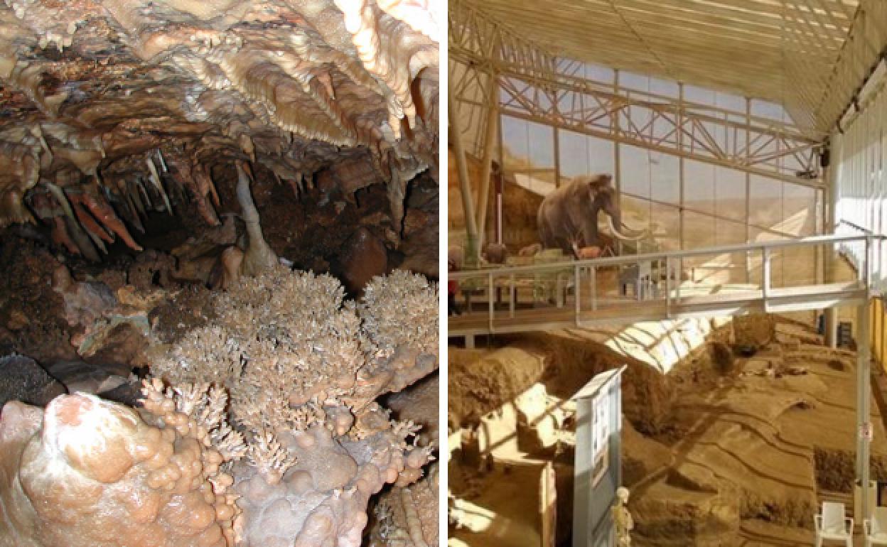 Excursiones y paleontología para los más pequeños de la casa /