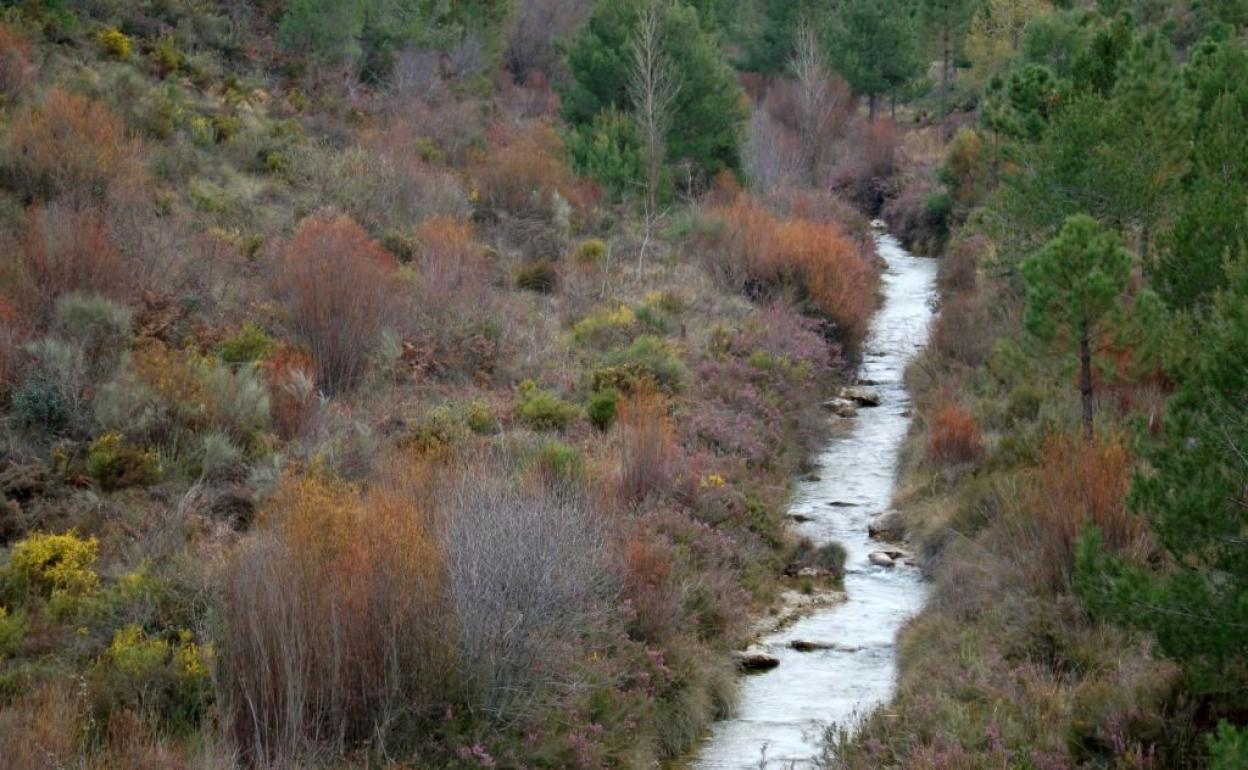 Tramo de ruta en Fornes