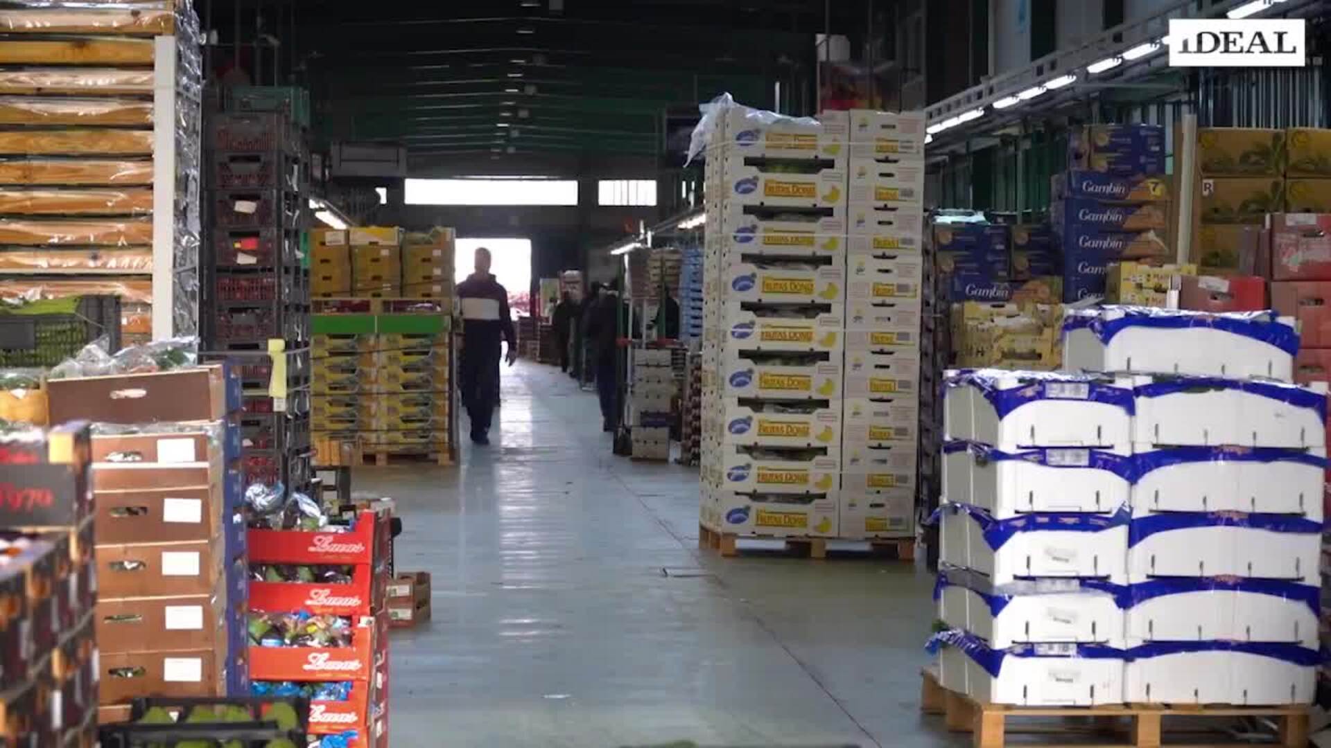 La redactora de IDEAL Mercedes Navarrete informa sobre la última hora de la huelga del transporte en Granada